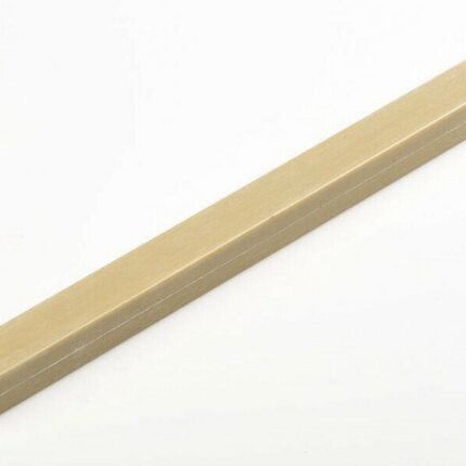 Dog Bone