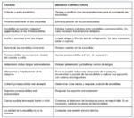 Escobillas de carbon ( GRAFITO )